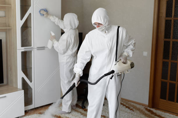 24/7 Emergency Odor Removal experts in Falls Church, VA