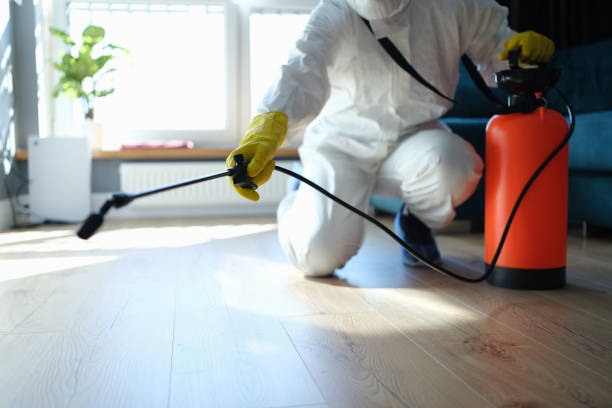 Reliable Odor Removal contractor in Falls Church, VA by Dulley Family Biohazard Services
